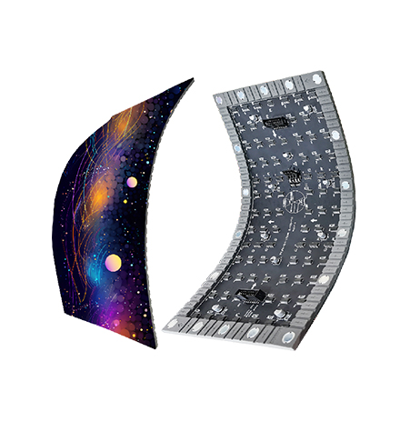 Flexible module